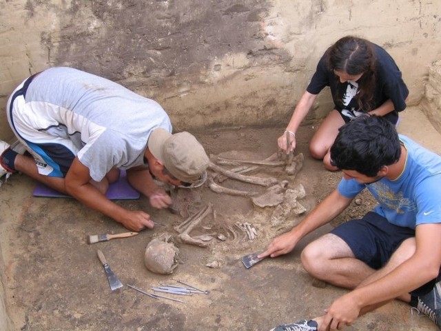 To szkielet prawdopodobnie młodej kobiety. Obok zmarłej leżały dwa naczynia zdobione ornamentami wykonanymi odciskami sznura.