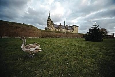 Zamek Kronborg, po którego komnatach spacerował Hamlet, odwiedza rocznie około 200 tysięcy turystów Fot. Autorka