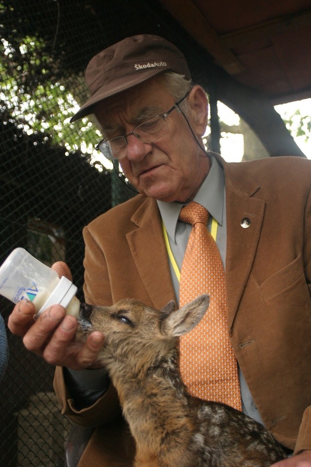 Weterynarz Leszek Gruntkowski karmi właśnie Bambiego, który został uratowany przed niechybną śmiercią