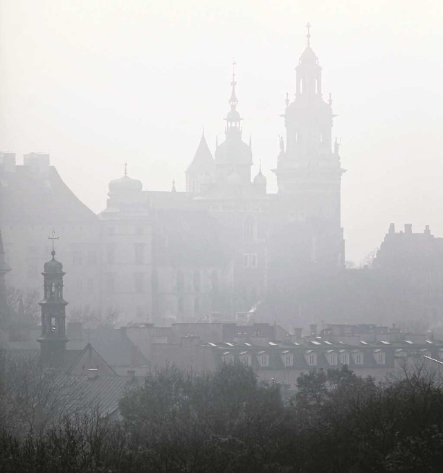 Krakowianie walczą o czyste powietrze od lat. Czy w końcu się uda?