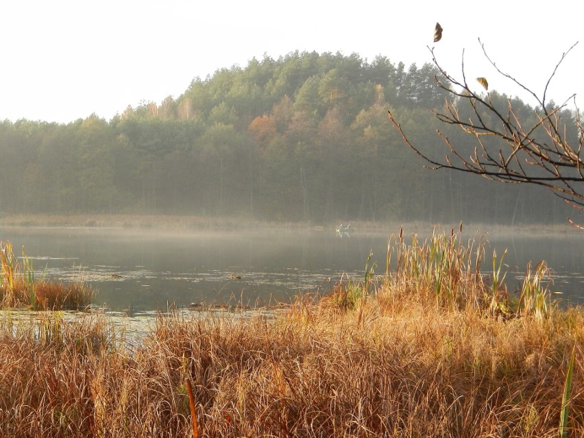 Kujawsko-Pomorskie. Jesień na szlakach w regionie. Nie ociągaj się, region o tej porze roku jest piękny [zdjęcia]