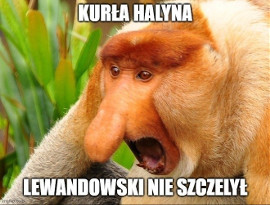 Najlepsze memy po meczu Polska - Francja