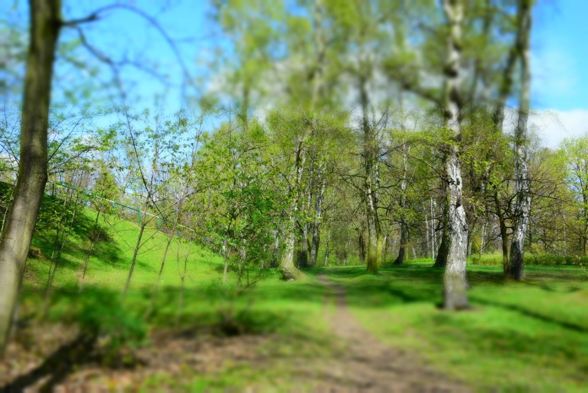 Park Kościuszki w Katowicach