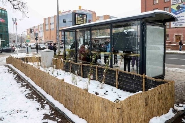 Miasto szuka firmy, która zaprojektuje kolejne zielone przystanki autobusowe.