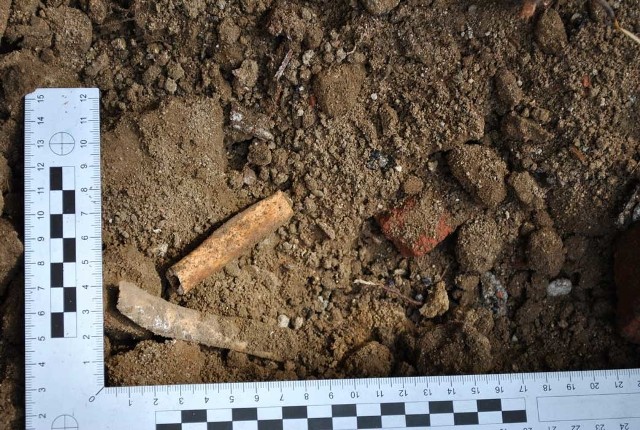 Kości znalezione przy komendzie policji w Sławnie.