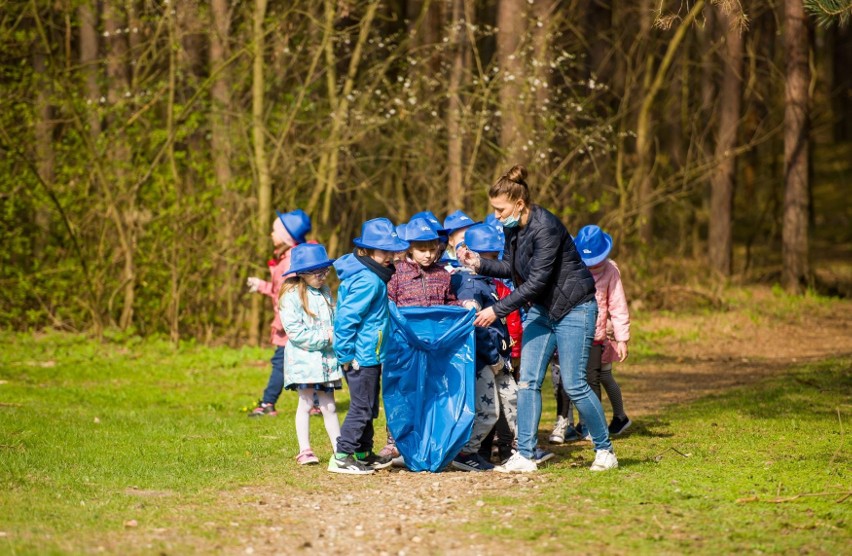 Przedszkolaki z Połańca posprzątali las i zadbali o przyrodę. Akcję zorganizowała elektrownia (ZDJĘCIA)