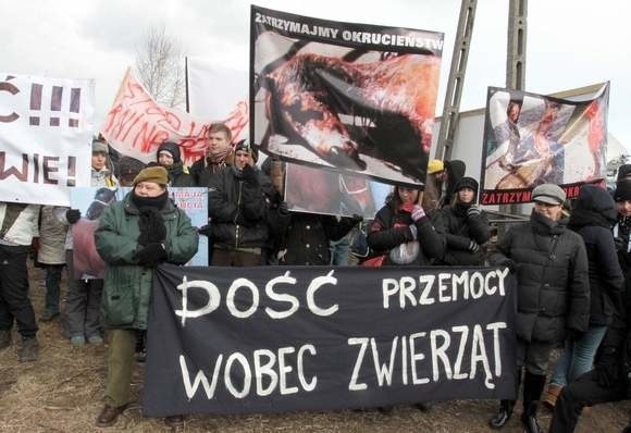 Obrońcy zwierząt protestowali w ubiegłym roku w Skaryszewie przeciwko biciu koni i złym warunkom transportu zwierząt.