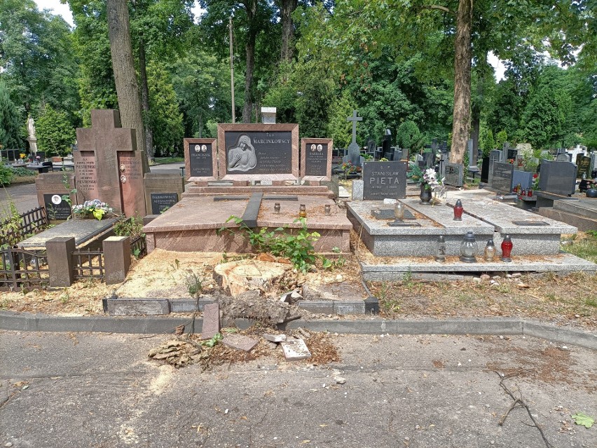 Cmentarz na Dołach znów zostanie otwarty. Zniszczenia po burzy na cmentarzu