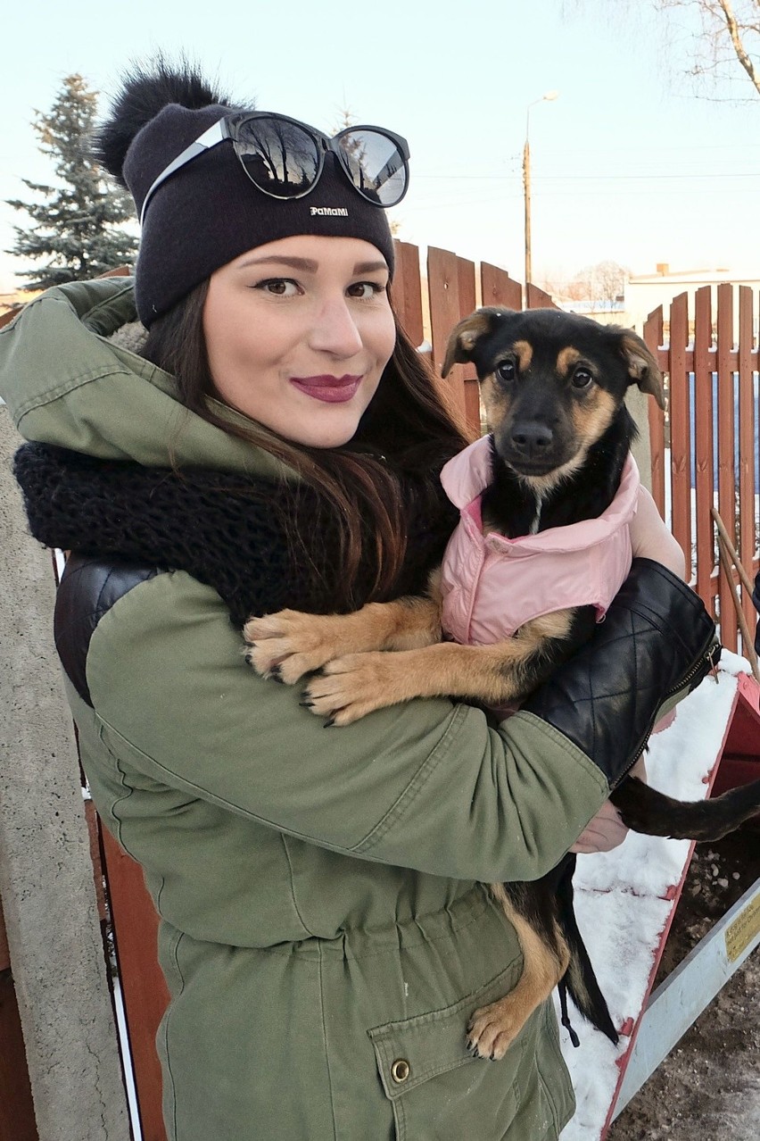 Akcja Zimna buda na UwB. Studenci pomogą psom ze schroniska w Białymstoku (zdjęcia)