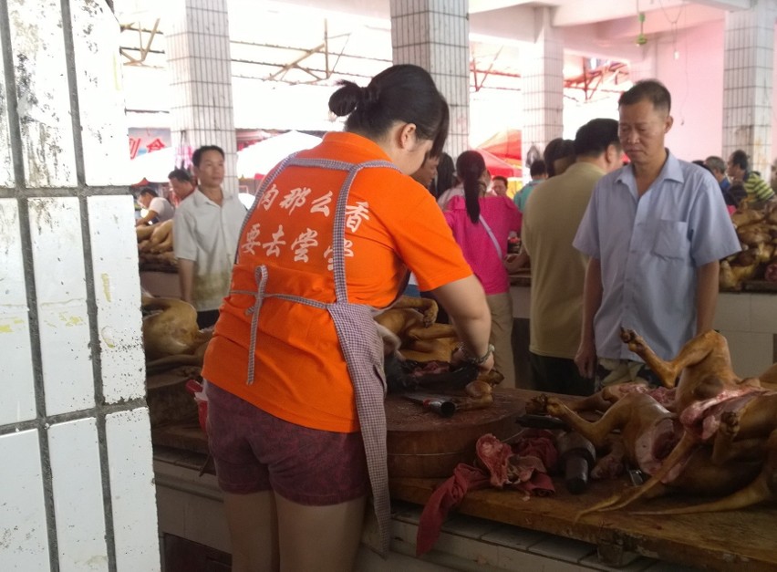Festiwal psiego mięsa w Yulin [DRASTYCZNE ZDJĘCIA]