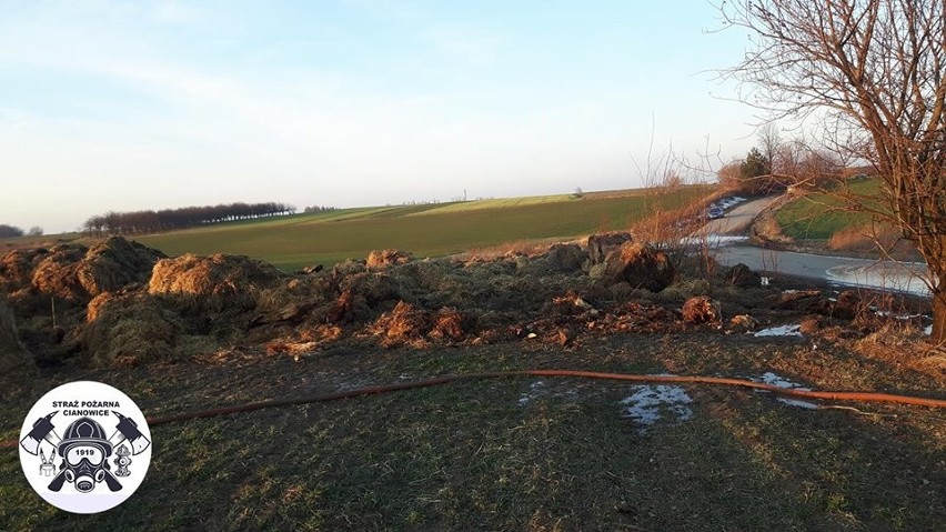 Podpalacze grasują nocą. Znów zaczęła się plaga pożarów traw