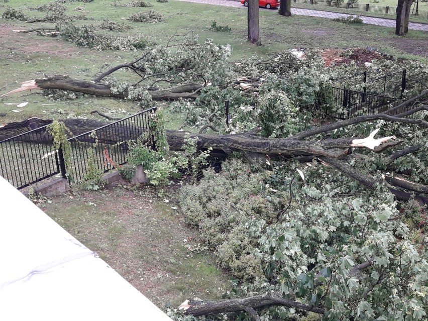 Czwartkowa burza w Białymstoku spowodowała spore zniszczenie...