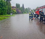 Zalane piwnice, ulice. Pracowity ranek strażaków z regionu. Interwencje w powiecie świeckim