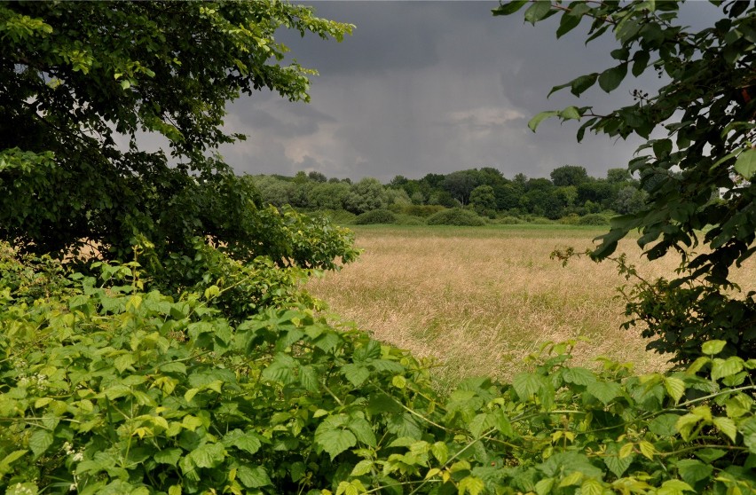 Obszar Natura 2000 zachwyca pięknem