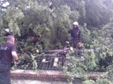 Burza w Bieruniu: Mieszkańcy wciąż są bez prądu, urzędnicy liczą straty ZDJĘCIA, WIDEO