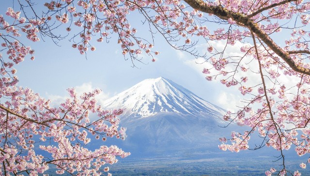 Kwitnące wiśnie, majówka, złota jesień, gorące lato, a może Nowy Rok? Sprawdźcie, kiedy jest najlepsza pora, by odwiedzić Japonię!