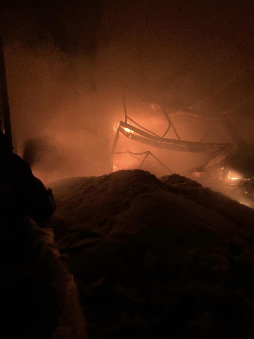 W nocy płonęła hala zakładu produkcyjnego w Cmolasie. W akcji gaszenia brało udział stu strażaków [ZDJĘCIA]