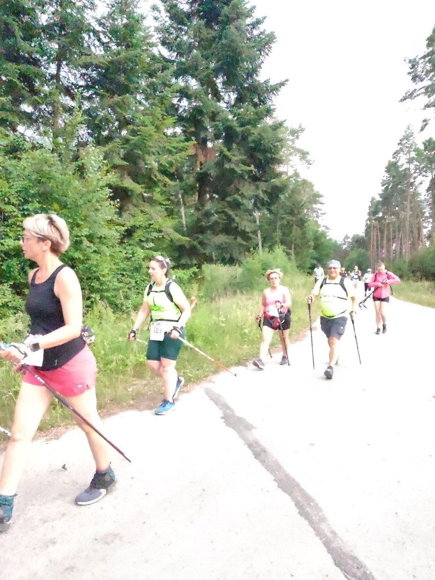 Świętokrzyski Bieg Łosia odbył się w Lipiu. Startowali biegacze z całego kraju. Zobacz zdjęcia