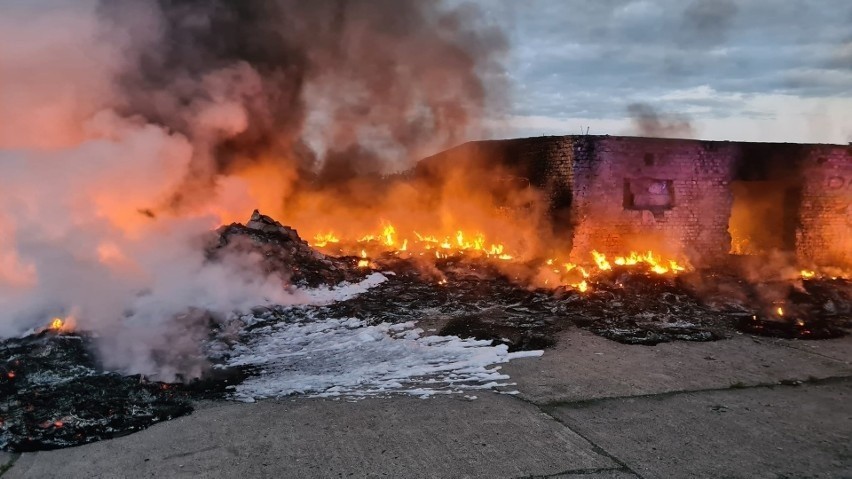 Pożary na lotnisku w Kluczewie się skończą? Po kolejnym incydencje STBS likwiduje składowisko i montuje fotopułapki