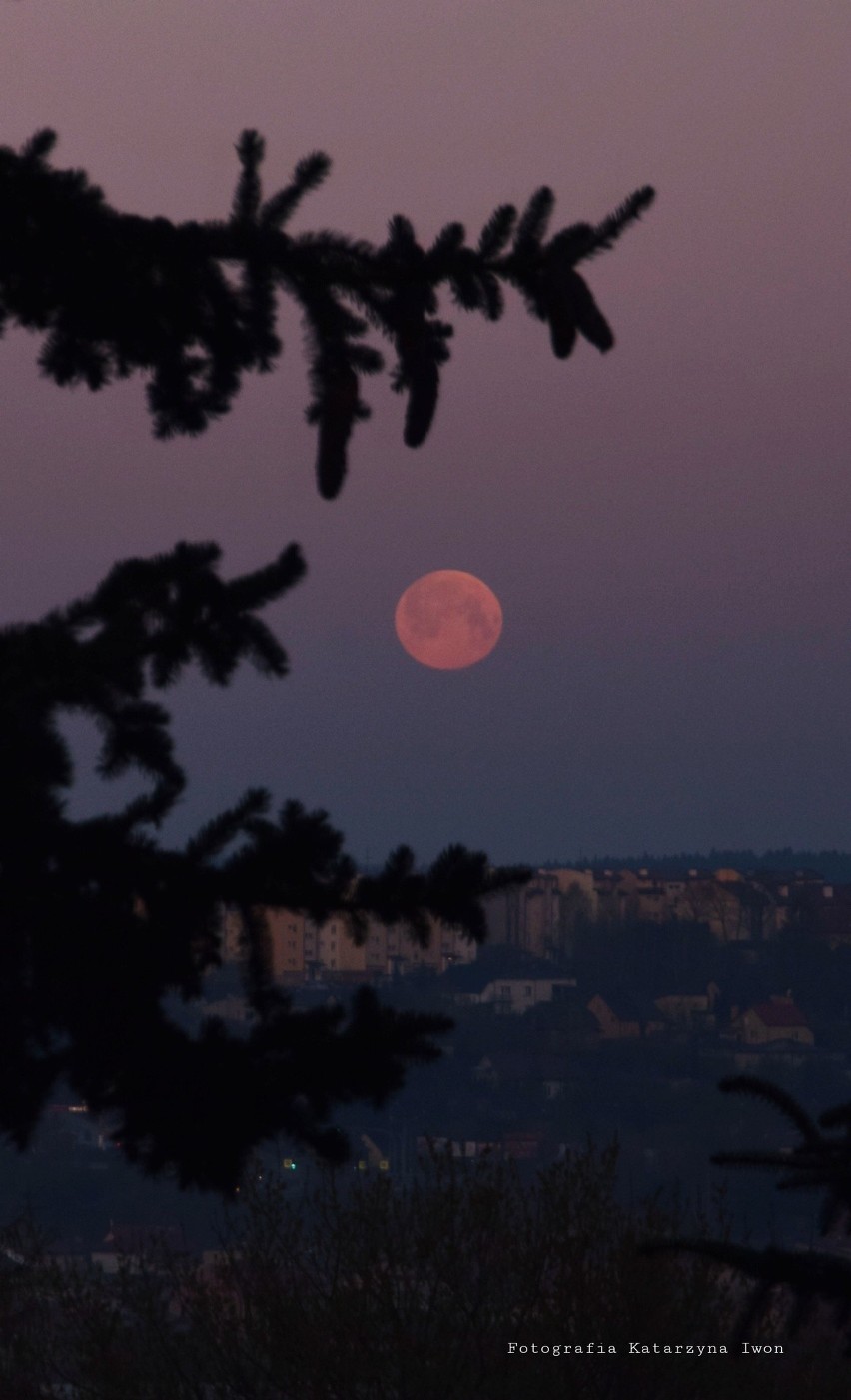 Pełnia Różowego Księżyca na zdjęciach Internautów...