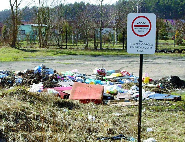 Hałda śmieci znajduje się przy ogródkach działkowych &#8222;Zalesie&#8221; przy ul. Częstochowskiej.