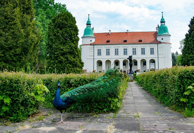 W wyborach samorządowych 2024 w Baranowie Sandomierskim ma wystartować trzech kandydatów na burmistrza. Prezentujemy ich w kolejności alfabetycznej >>>