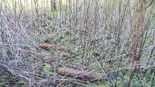 Niewybuchy znaleziono przy Biskupińskiej w Poznaniu