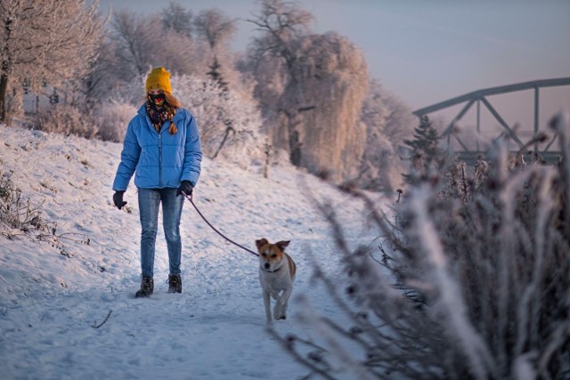 Ostrzeżenia IMGW przed silnym mrozem. Alert pierwszego stopnia oznacza, że mogą wystąpić niebezpieczne zjawiska meteorologiczne, które mogą powodować straty materialne oraz zagrożenie dla zdrowia i życia.