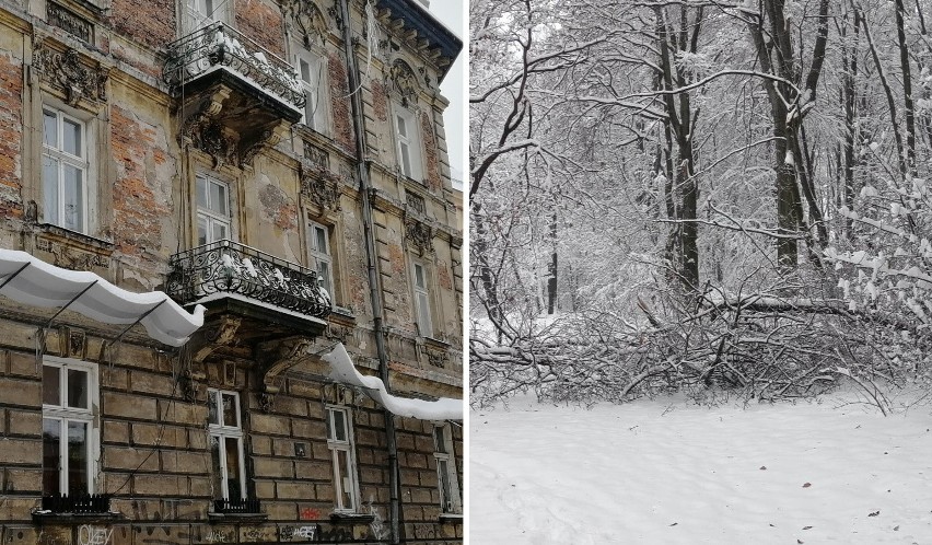 Kraków. Śnieżne czapy zagrażają bezpieczeństwu w Lasku Wolskim i na ulicach