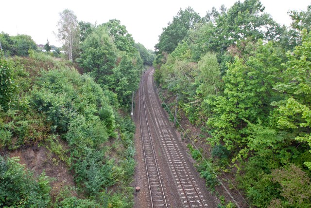Domniemane miejsce, w którym hitlerowcy ukryli pociąg pancerny w 1945 roku, znajduje się na 65. kilometrze trasy kolejowej z Wrocławia do Wałbrzycha.