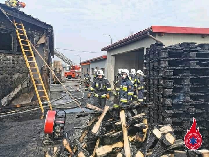 Pożar w zakładzie produkującym palety w Wadowicach. Strażacy szybko opanowali sytuację [ZDJĘCIA]