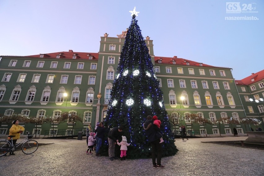 Mierzy 12 metrów i waży prawie półtorej tony. Świąteczna...