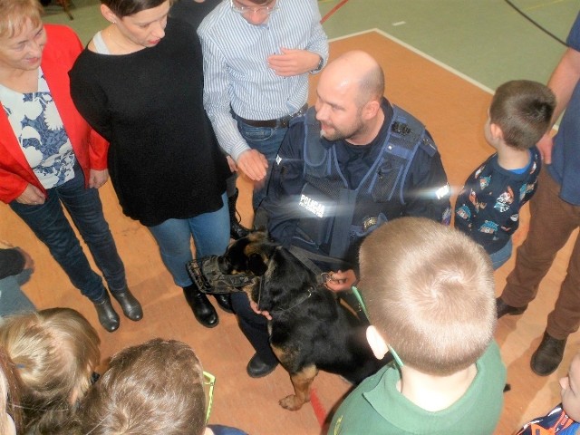 Z inicjatywą zbierania  środków na rzecz schroniska dla zwierząt w Ruśćcu wystąpili strażacy OSP z Kcyni oraz zarząd miejscowej orkiestry dętej OSP.  W imprezie, którą zorganizowano  w Zespole Szkół Technicznych w Kcyni wzięli także udział policjanci z KPP w Nakle. Największą atrakcją była obecność asp. Łukasza Króla, przewodnika psa służbowego, który przybył na festyn ze swoim podopiecznym. Opowiadał jak wygląda praca z psem, jego tresura i wspólne służby. Flesz - wypadki drogowe. Jak udzielić pierwszej pomocy?