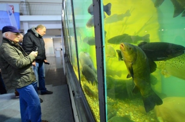 W lutym na targach Rybomiania w Poznaniu uczestnicy mogli łowić ryby w gigantycznym akwarium