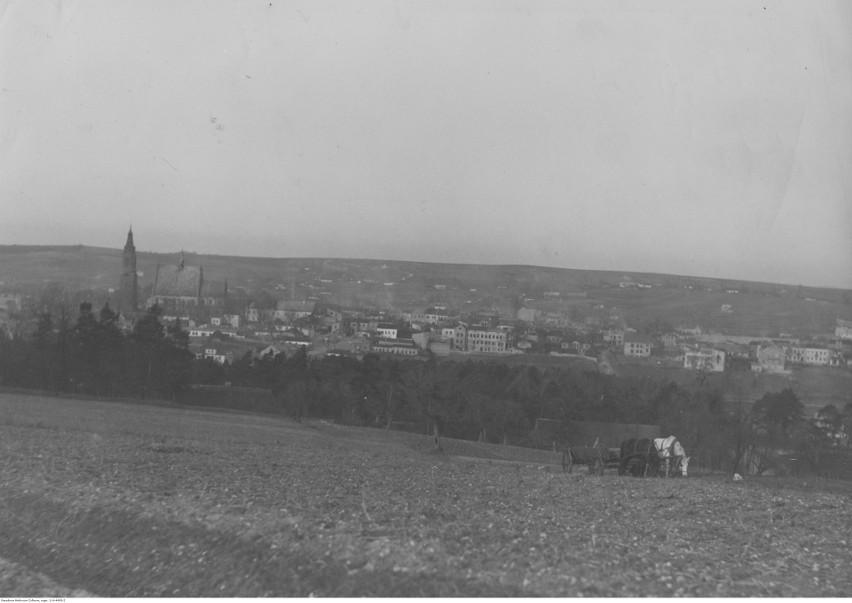 Olkusz, Panorama miasta, 1931