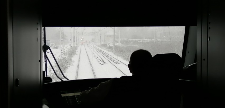 Śnieg sparaliżował komunikację miejską i kolej w Zgierzu. ZDJĘCIA