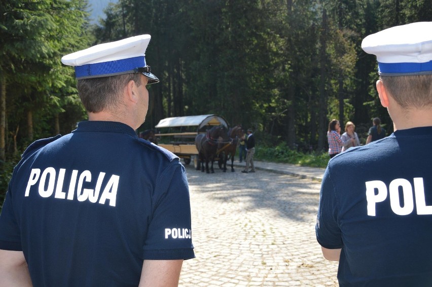 Tatry. Znów badają konie na szlaku do Morskiego Oka. W obstawie uzbrojonej policji [WIDEO,ZDJĘCIA]