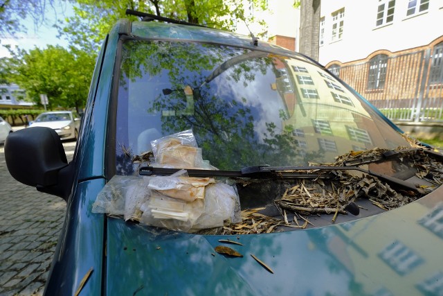 Stos raportów kontrolerów Strefy za wycieraczką jednego tylko samochodu wskazuje, że kierowca nie interesuje się swoim autem, a miasto - nie przekonało go jeszcze skutecznie do zapłaty...