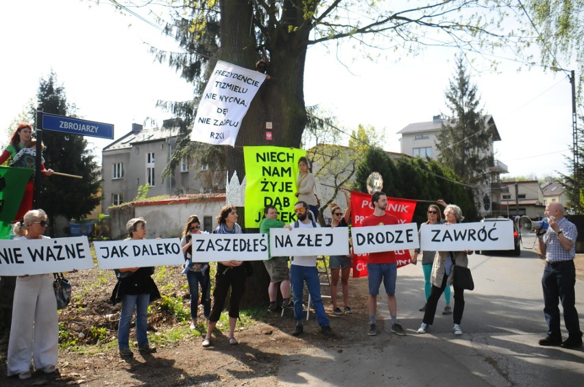 Kraków. Mieszkańcy chcą ochrony wielkiego dębu. Nazwali go Jacek. Ale i tak czeka go wycinka