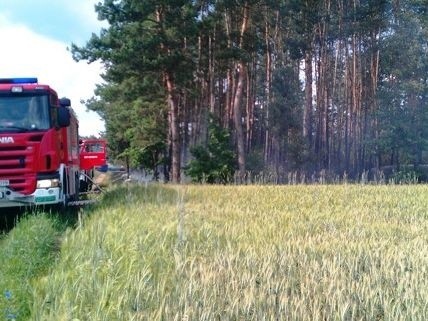 Strażacy na miejscu zdarzenia