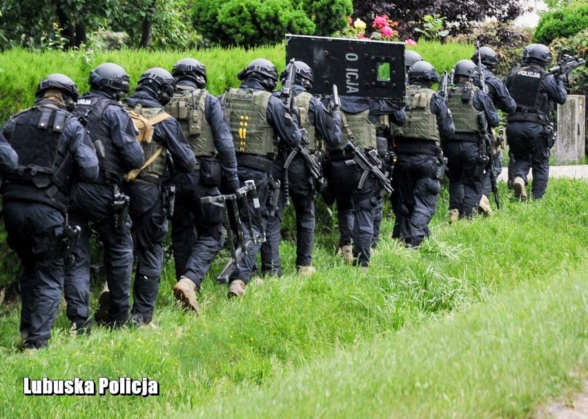 Policja przerwała przestępczy proceder trwający kilka lat