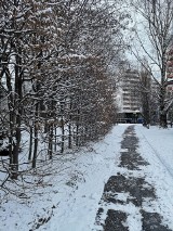 W Krakowie sypnęło śniegiem! Jaka będzie pogoda na najbliższe dni w Małopolsce? Sytuacja na drogach [MAPY, ZDJĘCIA]