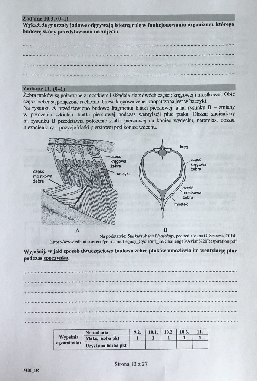 Matura 2018 BIOLOGIA [PODSTAWA, ROZSZERZENIE]. Odpowiedzi i ARKUSZ CKE w serwisie EDUKACJA