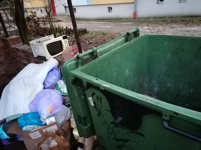 Śmietnik i Kontenery na śmieci przy ulicy Zamenhofa w Zielonej Górze