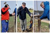 Nietypowa koalicja radnych zawiązała się w gminie Strzelce Opolskie na rzecz sadzenia czereśni