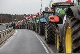 Największy protest rolników! 20 marca 2024 w Kujawsko-Pomorskiem zablokują drogi i miasta na miesiąc
