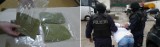 Narkotyki: Policja przejęła 7 kilogramów holenderskiej marihuany. Sprowadzali ją w autach (zobacz film)