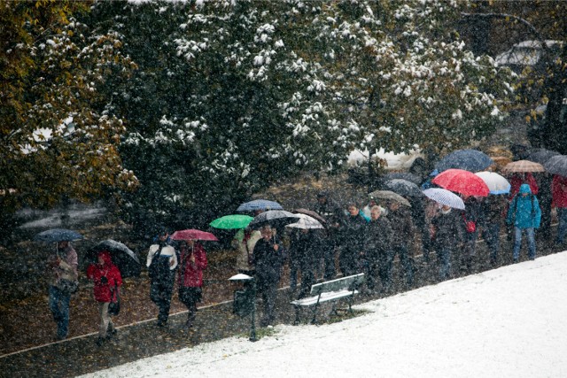 Intensywny śnieg spadł dziś m.in. w Krakowie