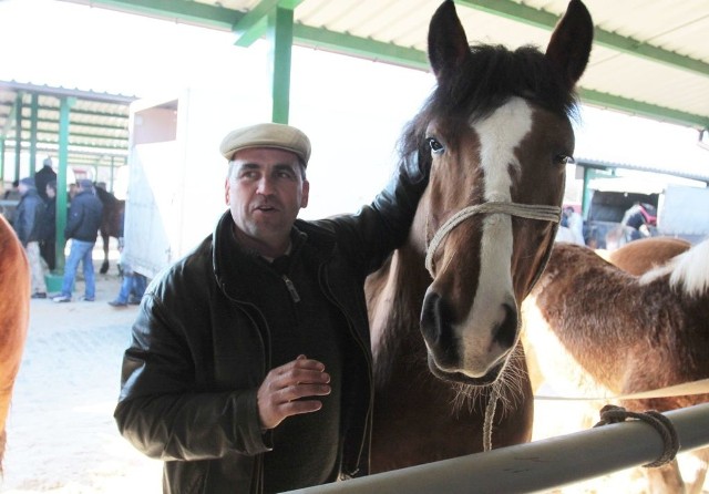 - Konie w tym roku znów są w cenie &#8211; mówi Adam Kuropieski, który na targu w Skaryszewie wystawił dwa wierzchowce.