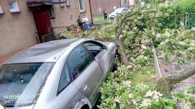 Wczorajsza gwałtowna burza w regionie przyniosła wiele zniszczeń w powiecie drawskim. Na ulicach leżały powalone drzewa. Zniszczony został również samochód.